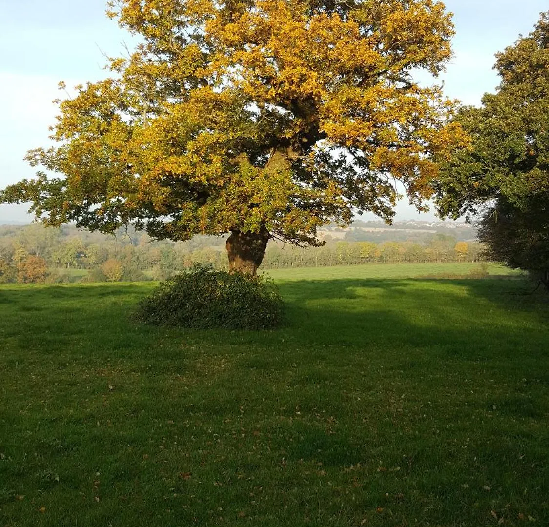 New Farm , For Large Groups Nr Barry And Beaches Porthkerry Holiday home