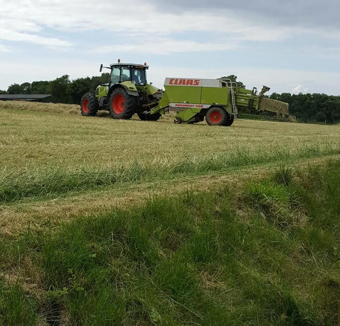 New Farm , For Large Groups Nr Barry And Beaches Porthkerry